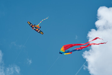 An outdoor kite flying festival. Kites are launched into the blue sky