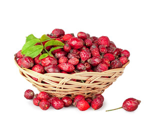 Rose hip basket isolated on a white background