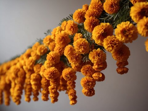 marigold flower garland for festival background