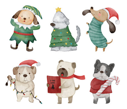 Dog . Christmas theme . Watercolor paint cartoon characters . Isolated . Set 1 of 4 . illustration .