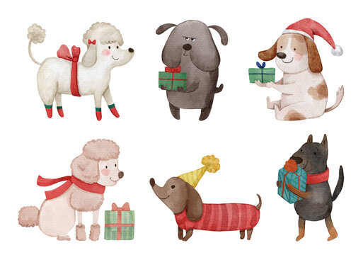 Dog . Christmas theme . Watercolor paint cartoon characters . Isolated . Set 3 of 4 . illustration .