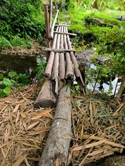 A bridge made of bamboo poles across a ditch