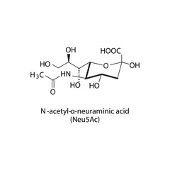 Molecular structure diagram of N-acetyl-α-neuraminic acid (Neu5Ac) - a sialic acid. white Scientific vector illustration.