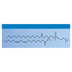 Naklejka premium Diagram showing schematic molecular structure of Phosphatidylcholine Blue Scientific vector illustration.