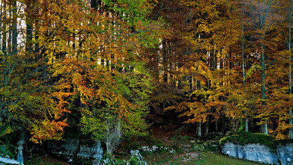 Foliage d'autunno nella valle delle Sfingi. Camposilvano, Verona. Italia