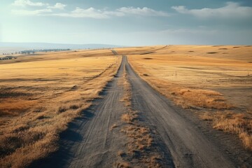 A dirt road running through the middle of a field. This image can be used to depict rural landscapes or a journey through nature