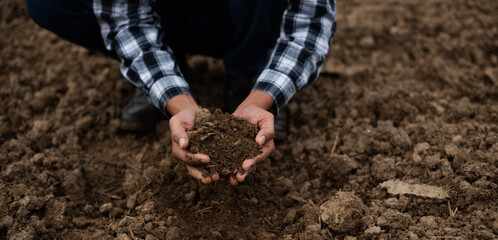 Hands of the gardeners are grabbing the soil to plant the trees..