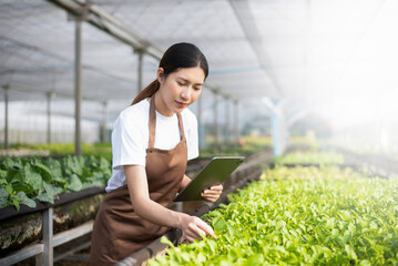 Asian woman farmer looking organic vegetables and holding tablet for checking orders