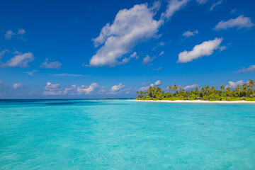 Fototapeta na wymiar Maldives island beach. Tropical landscape of summer paradise. White sand , coconut palm trees calm sea bay. Luxury travel vacation destination. Exotic beach island. Amazing nature inspire relaxation