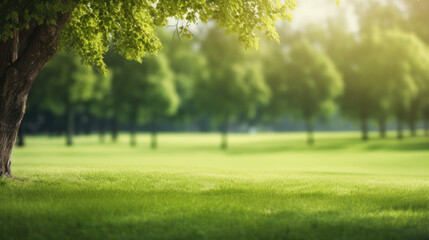 Beautiful blurred background image of spring nature with a neatly trimmed lawn surrounded by trees against a blue sky with clouds on a bright sunny day. - Powered by Adobe