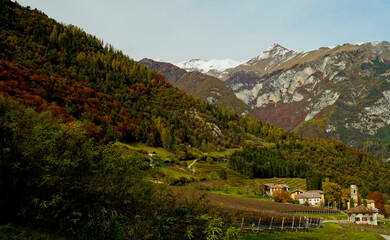 Fototapeta na wymiar Foliage nell'area archeologica di Flavè, Doss torbiera. Trento, Trentino Alto Adige. Italia
