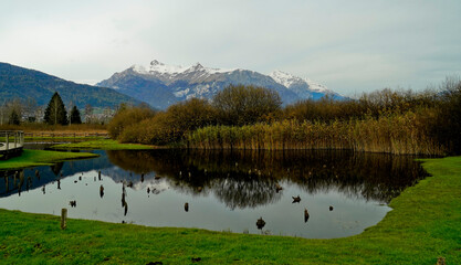 Foliage nell'area archeologica di Flavè, Doss torbiera. Trento, Trentino Alto Adige. Italia