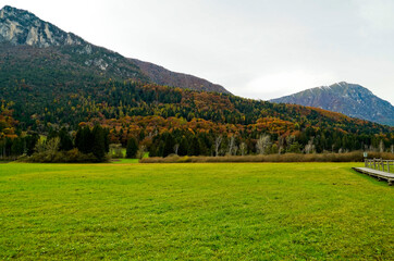 Foliage nell'area archeologica di Flavè, Doss torbiera. Trento, Trentino Alto Adige. Italia