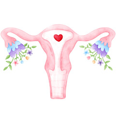 Menstrual, period, Female, watercolor, Menstruation
