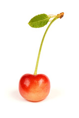 Light red sweet cherry with green leaves., side view isolated on white. Extrem close-up.