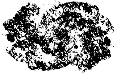 Grungy black ink splat on transparent background. Not AI.