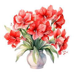Amaryllis, Flowers, Watercolor illustrations