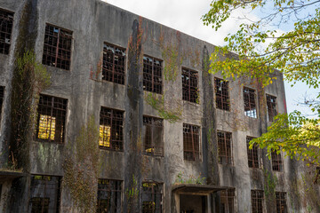 Fototapeta premium 日本の広島県の大久野島のとても美しい秋の風景