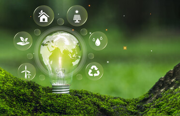 Renewable Energy or green Energy concept. Light bulb with energy sources icons for renewable...