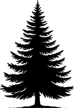 Christmas Tree Silhouette 24