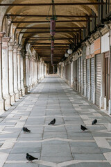 Empty colonnade of Procuratie Vecchie in Venice with closed shops