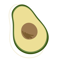 illustration of avocado fruit