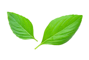 Obraz premium Basil leaves transparent png