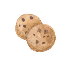 Watercolor illustration. Cookies with chocolate.