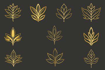 Set of golden leaves, collection of gold leaf