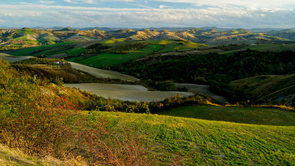 Foliage d'autunno nei vitigni delle colline bolognesi. Bologna, Emilia Romagna. Italia