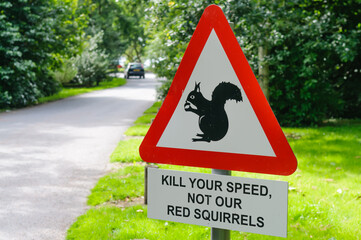 Warning sign asking motorists to slow down and take care with red squirrels