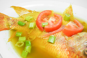 Tilapia fish soup in a bowl with turmeric sauce and spices, using sliced tomatoes and spring onions as garnish - Isolated on white backgrounds. Concept for whole healthy food, omega-3, animal protein.