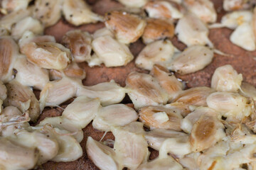 sweet peeled cocoa extract. Top view of cocoa beans ingredients for making chocolate flour.