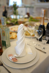 Serving the festive table. Dishes, napkins, food and drinks.