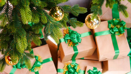 Fototapeta na wymiar Close-up of very beautiful Christmas tree branches and many gifts with green bows beneath them