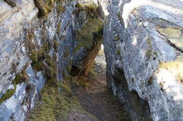 stone wall with moss