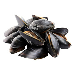 black mussels - obrazy, fototapety, plakaty