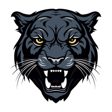 Panther head mascot logo vector design