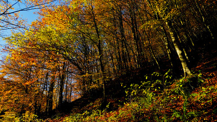 Autunno sull'Appennino Emiliano. Panorami autunnali delle montagne bolognaesi. Bologna, Emilia Romagna. Italia