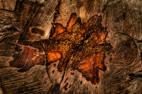 Holzprofil