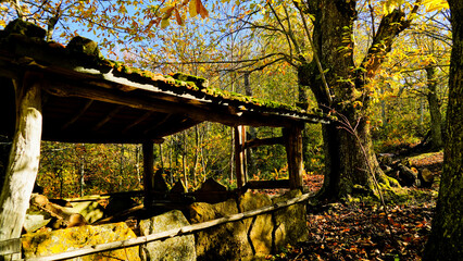 Fototapete bei efototapeten.de bestellen   