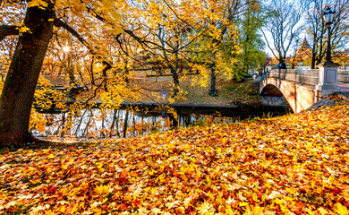 Obraz premium Pedestrian bridge over the river in old city park during autumn