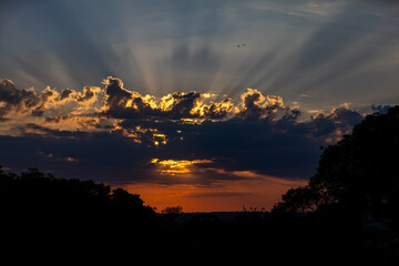 Orange sunrise on the horizon with emphasis on the sun's rays and birds in the distance. Idyllic Setting