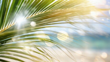 Blur beautiful nature green palm leaf on a tropical beach with bokeh sun light abstract texture background. - obrazy, fototapety, plakaty