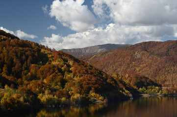 Lake, autumn forest and 