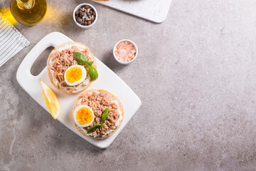 Toast with Canned Tuna. Fish open sandwich with egg and cheese. 