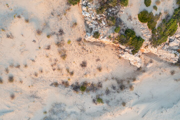 Top view of a sandy beach with a beautiful pattern of dunes, grass and shrubs formed from the water, in the bright sunset light of summer. Photograph with drone in the form of texture and background