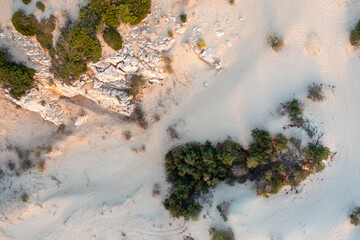 Top view of a sandy beach with a beautiful pattern of dunes, grass and shrubs formed from the water, in the bright sunset light of summer. Photograph with drone in the form of texture and background