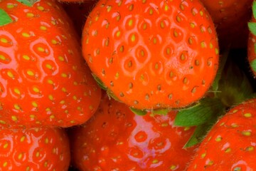 Color macro shot of strawberries. Snapshot of strawberries suitable as a concept for summer, summer refreshment, evening garden party. Concept for restaurants, ice cream shops and fruit bars. Close-up
