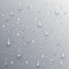 Pure realistic water drops or 3d condensation with light reflection on the surface or window. Shiny clear dew, rain droplets falling or aqua splash. Blobs overlay on transparent background